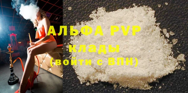 прущие грибы Заволжск