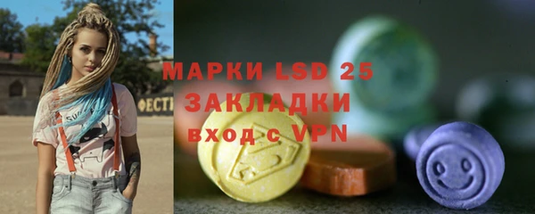 прущие грибы Заволжск