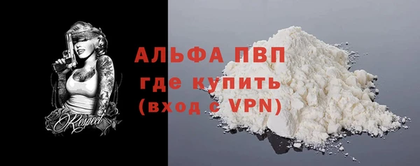 прущие грибы Заволжск