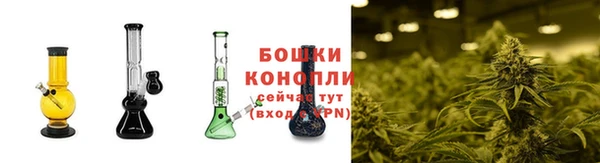 молекула духа Заводоуковск
