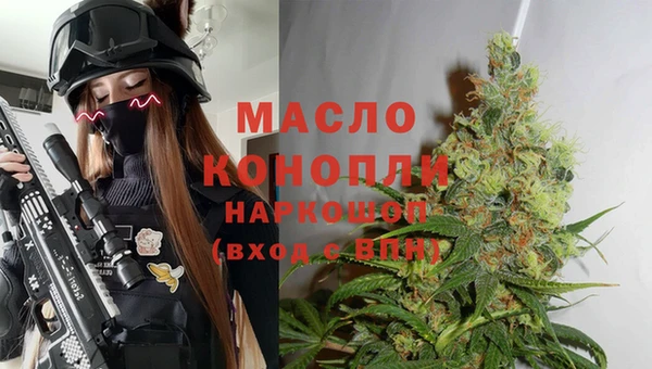 молекула духа Заводоуковск
