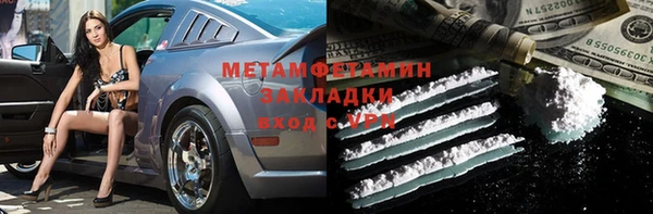 прущие грибы Заволжск