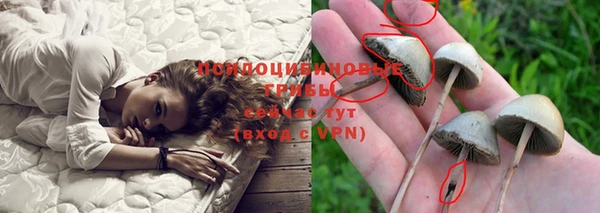 прущие грибы Заволжск
